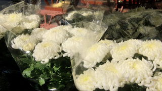 Gradska trznica uoci dana mrtvih, Foto: Mia Knezevic