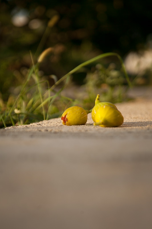 OPG Damjanić-Babac, foto: Darko Belančić OPG Damjanić-Babac, foto: Darko Belančić