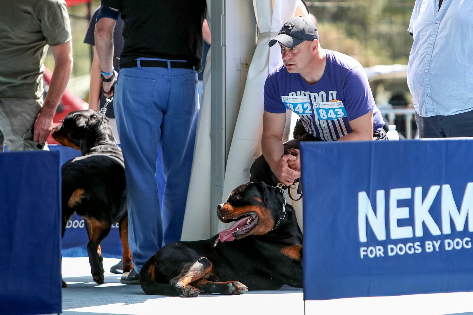 Međunarodna izložba pasa CACIB 2023