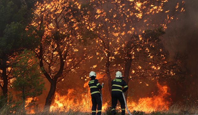 Lozovac: veliki požar zaprijetio kućama, kopnenim snagama pridružila se četiri kanadera