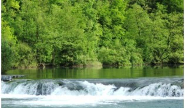 Zelena akcija: Na mala vrata žele šume za golf igrališta, foto: morsko-prase.hr