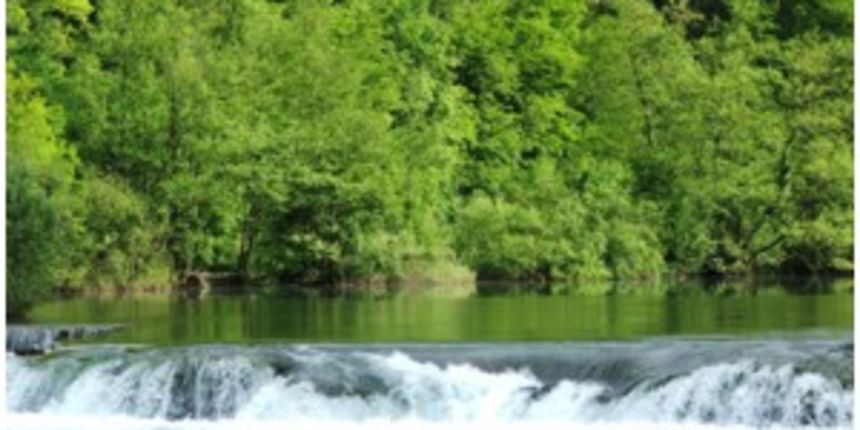 Zelena akcija: Na mala vrata žele šume za golf igrališta, foto: morsko-prase.hr