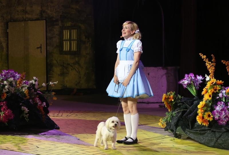 Šibenik: Generalna proba svečanog otvaranja 56. Međunarodnoga dječjeg festivala Šibenik: Generalna proba svečanog otvaranja 56. Međunarodnoga dječjeg festivala