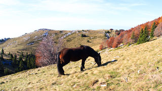 Đir do Zavižana, sjeverni Velebit, foto: Leo Banić