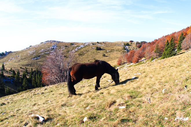 Đir do Zavižana, sjeverni Velebit, foto: Leo Banić