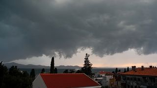 Image 1208603 (auto)