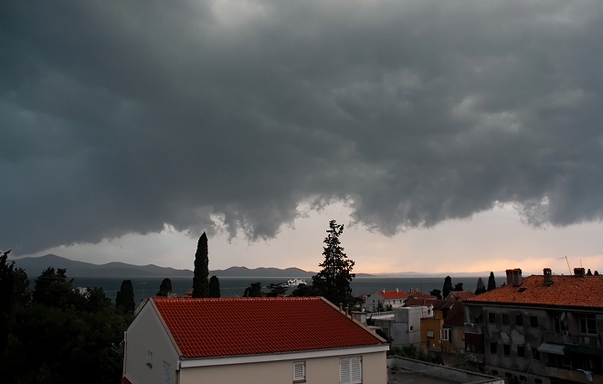 Image 1208603 (auto)