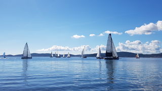 Zadarska Koka 2016. 22. listopada 2016. Foto: Mladen Malik Zadarska Koka 2016. 22. listopada 2016. Foto: Mladen Malik