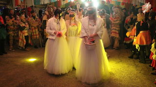 Virske maškare 2018: Defile maškaranih skupina i fešta uz “Koktelse”