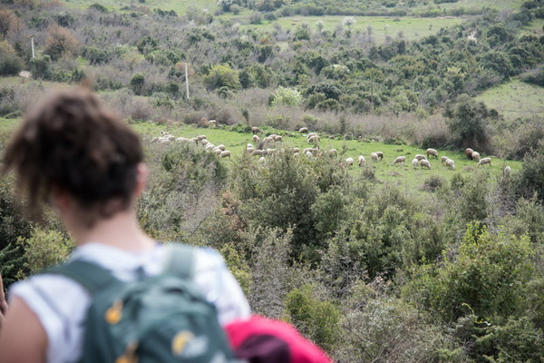 Drugi Planinarski pohod “Hajdemo do Vrane” 2. travnja 2016. Foto: Vinko Pešić