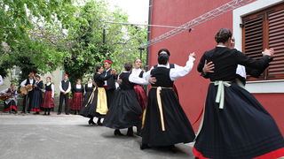 Sveti Filip i Jakov: 11. Dani cvijeca Zadarske zupanije, Foto: Martin Brkljaca Sveti Filip i Jakov: 11. Dani cvijeca Zadarske zupanije, Foto: Martin Brkljaca