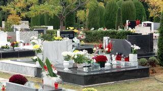 Usprkos jakom jugu gradsko groblje u Zadru danas je zasjalo toplim bojama cvijeca i svijeca kojima su gradjani ukrasili posljednja pocivalista svojih najdrazih, Foto: Mladen Malik Usprkos jakom jugu gradsko groblje u Zadru danas je zasjalo toplim bojama cvijeca i svijeca kojima su gradjani ukrasili posljednja pocivalista svojih najdrazih, Foto: Mladen Malik