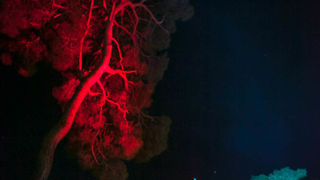 Koncerrt S.A.R.S.-a u Lounge and baru Ledana, foto: Darko Belančić