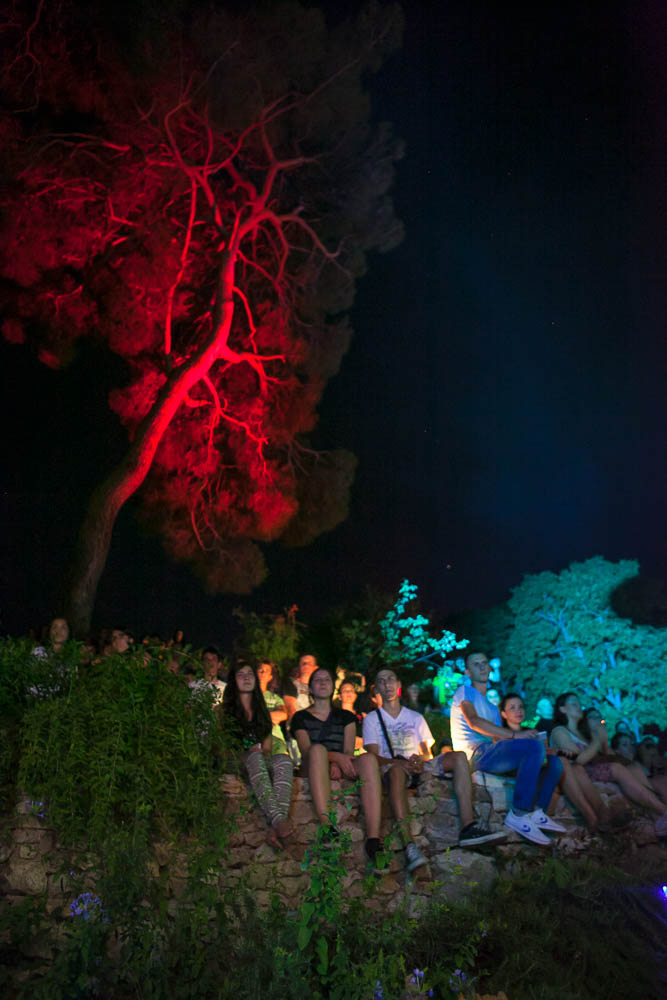 Koncerrt S.A.R.S.-a u Lounge and baru Ledana, foto: Darko Belančić