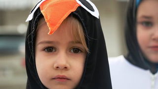 Virski karnevalić 2016. Virski karnevalić 2016.