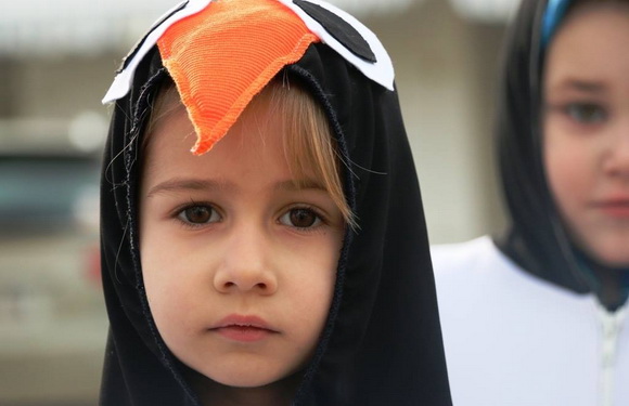 Virski karnevalić 2016. Virski karnevalić 2016.