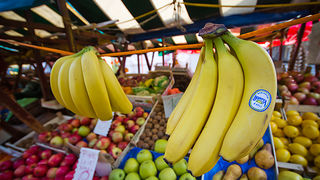 Đir po pijaci, 30. siječnja 2012. (foto:Saša Čuka)