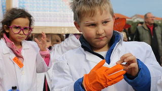 Virski karnevalić 2016. Virski karnevalić 2016.