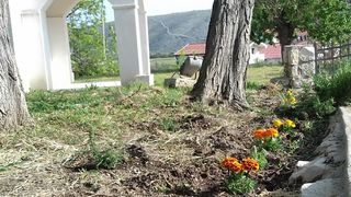 Akcije čišćenja i uređenja Vlašića na otoku Pagu