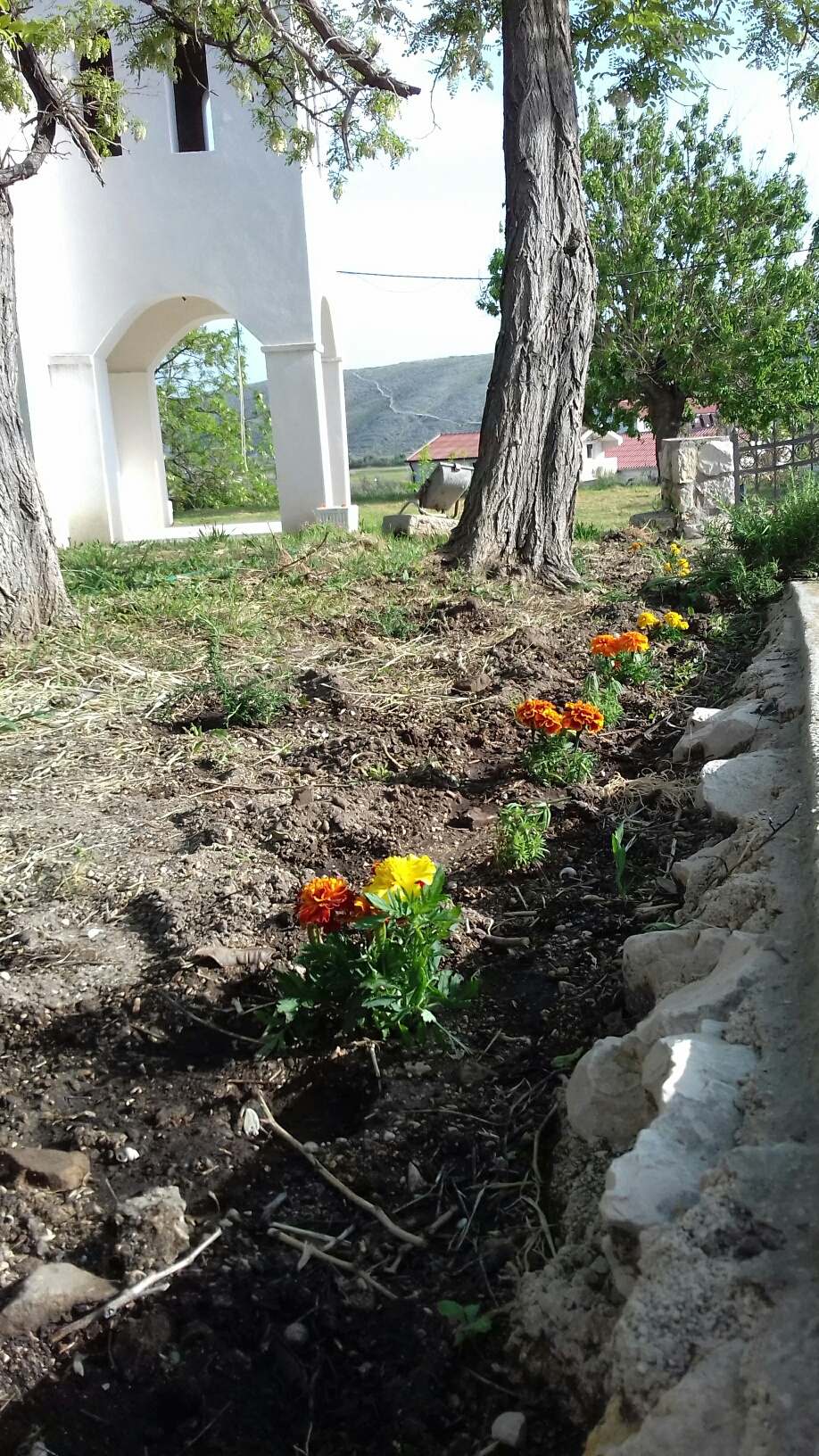 Akcije čišćenja i uređenja Vlašića na otoku Pagu