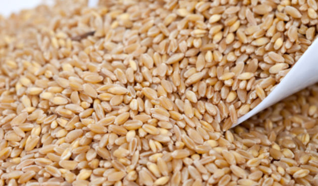 Cjelovite žitarice (Metro-portal.hr)