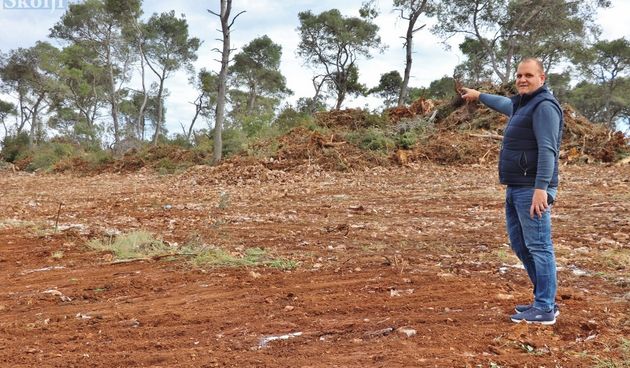 Jure Brižić, Sutomišćica