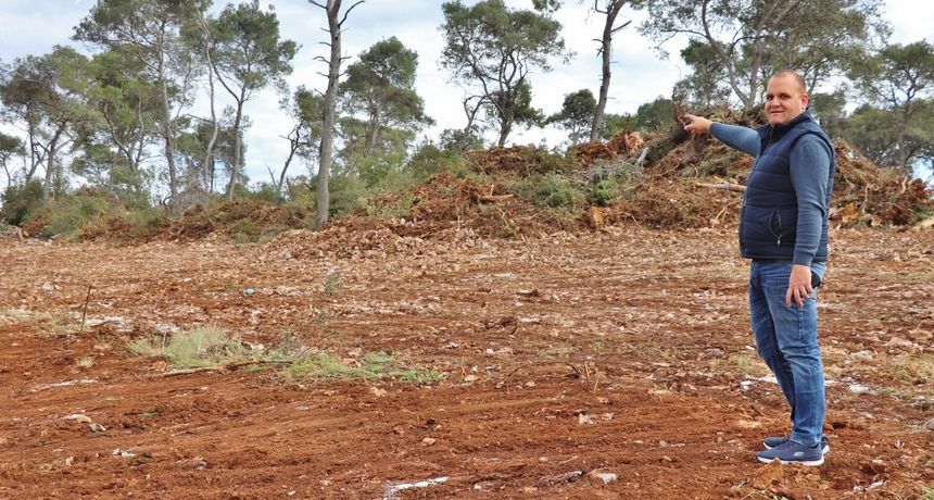 Jure Brižić, Sutomišćica