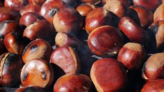 Kestenjari su započeli s ovogodisnjom sezonom prodaje pecenih kestena. Photo: Tomislav Miletic/PIXSELL