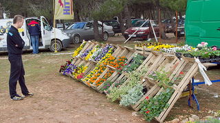 Benkovački sajam 10. travnja 2013, Foto: Leo Banić
