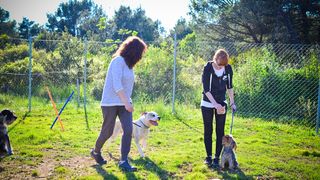 Kinološka udruga Malinois