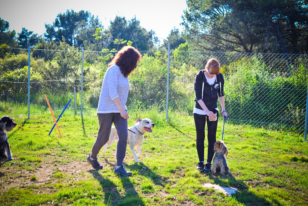 Kinološka udruga Malinois