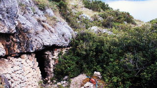 Zadar, 230610.
Na arheoloskom nalazistu u pecini Vlakno na Dugom otoku izmedju ostalih nakitnih predmeta pronadjen je i predmet ukrasen nizom kratkih paralelnih i dva vodoravna ureza za koje se sumnja da su umjetno izradjeni. Star oko 15 000 godina moze Zadar, 230610.
Na arheoloskom nalazistu u pecini Vlakno na Dugom otoku izmedju ostalih nakitnih predmeta pronadjen je i predmet ukrasen nizom kratkih paralelnih i dva vodoravna ureza za koje se sumnja da su umjetno izradjeni. Star oko 15 000 godina moze