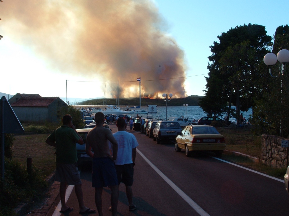 Image 1177195 (auto)