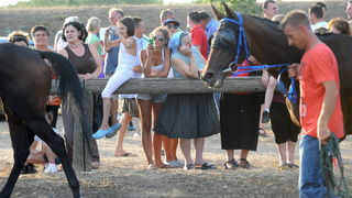 Zadar, 200811.
U Polaci na hipodromu Ravni kotari odrzane su 
14. Medjunarodne galopske konjicke utrke “Oluja 95”. 
Na slici: posjetitelji.
Foto: Andrija Lucic / CROPIX