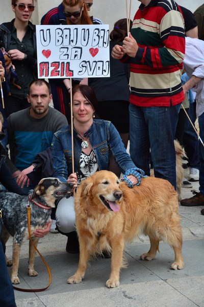 Skup podrške za NO KILL skloništa za životinje,  foto Iva Perinčić