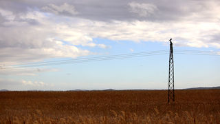 Mediji i uzvanici posjetili Polaču, Vransko jezero i Maškovića han