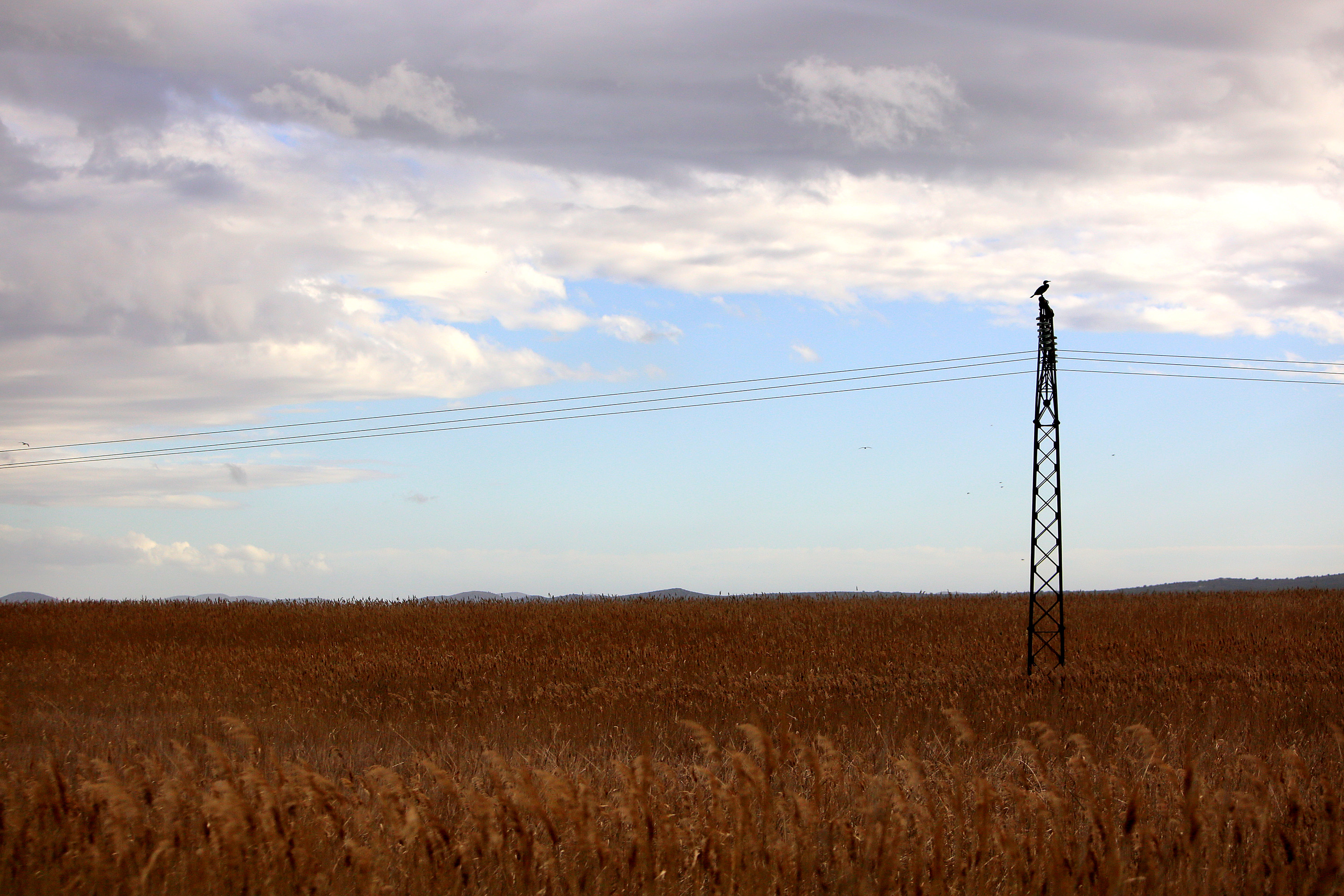 Mediji i uzvanici posjetili Polaču, Vransko jezero i Maškovića han