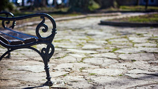 Đir zadarskim parkovima,27. veljače 2012. (foto:Saša Čuka)