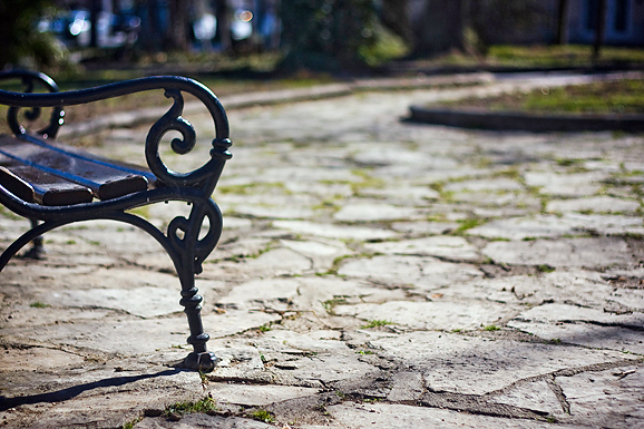 Đir zadarskim parkovima,27. veljače 2012. (foto:Saša Čuka)