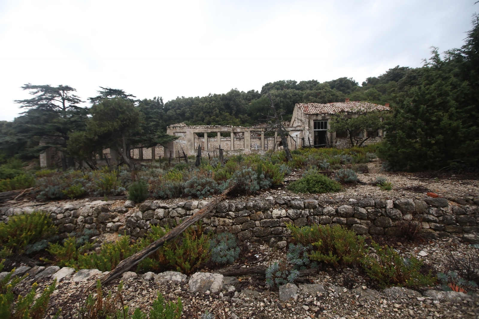 Sv. Grgur: Otok koji je nekad bio zatvor za žene Sv. Grgur: Otok koji je nekad bio zatvor za žene