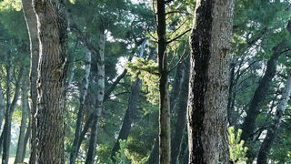 Nedjeljnji đir 14. listopada 2012. Foto: Leonard Kvarantan