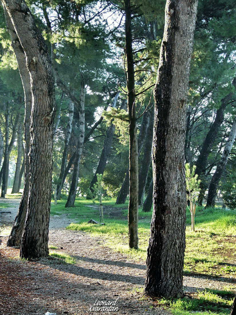 Nedjeljnji đir 14. listopada 2012. Foto: Leonard Kvarantan