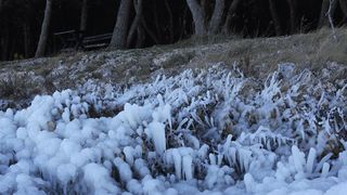 Šetnja po zaleđenom i bajkovitim Vranskim jezerom Šetnja po zaleđenom i bajkovitim Vranskim jezerom