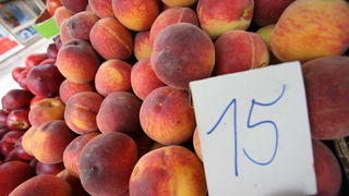 Image 1203801 (auto)