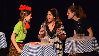 Premijera predstave Ružno pače u izvedbi radionice Donatolina