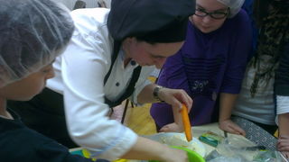 POŠ Nova: Dan frankofonije