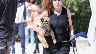 Međunarodna izložba pasa CACIB 2023