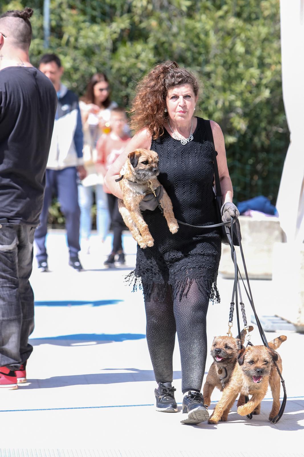 Međunarodna izložba pasa CACIB 2023