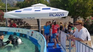 Orebić i Pogled u plavo zajedno zaronili četvrtu godinu za redom Orebić i Pogled u plavo zajedno zaronili četvrtu godinu za redom