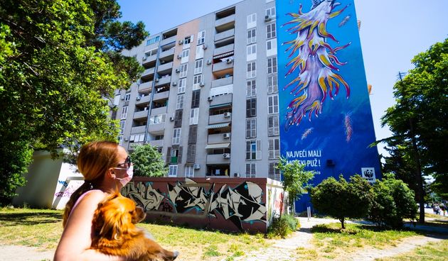 Mural u Splitu u Šimićevoj ulici na Blatinama, gdje je na 300 kvadrata naslikan morski puž (Flabelina affinis)